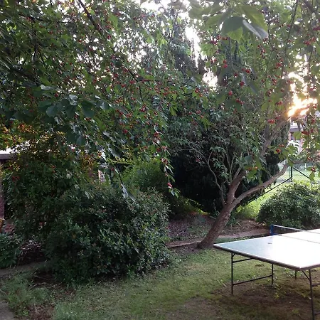 Gaestehaus Peterhoff 2* Birresdorf