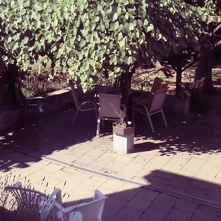 酒店 Gaestehaus Peterhoff