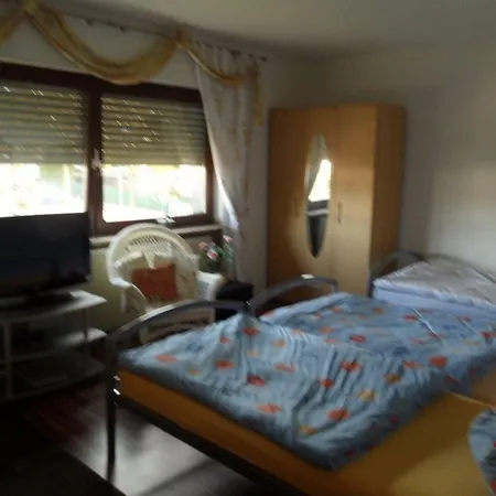 酒店 Gaestehaus Peterhoff Birresdorf