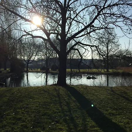 酒店 Gaestehaus Peterhoff