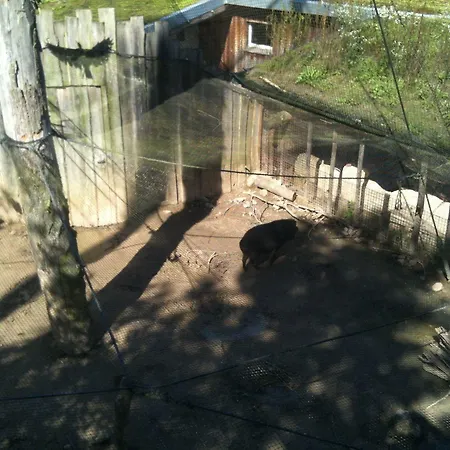 Gaestehaus Peterhoff 2*