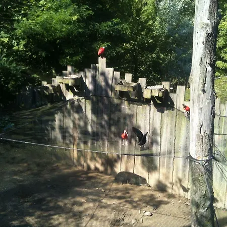 Gaestehaus Peterhoff 2* Birresdorf