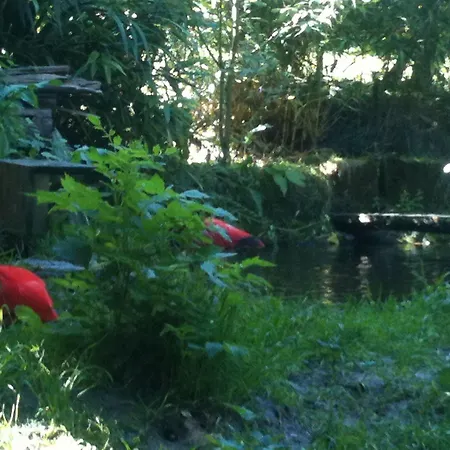 酒店 Gaestehaus Peterhoff