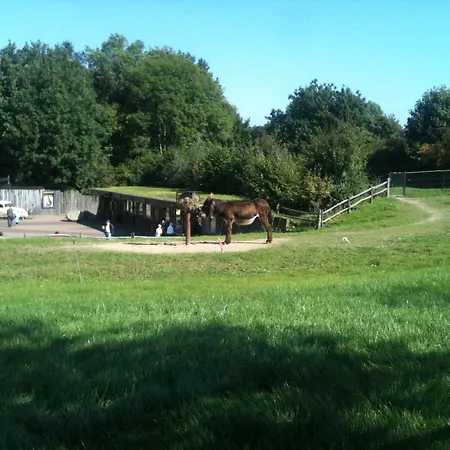 Gaestehaus Peterhoff 酒店