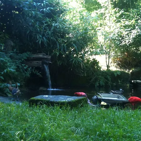 Gaestehaus Peterhoff Birresdorf