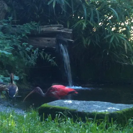 Gaestehaus Peterhoff