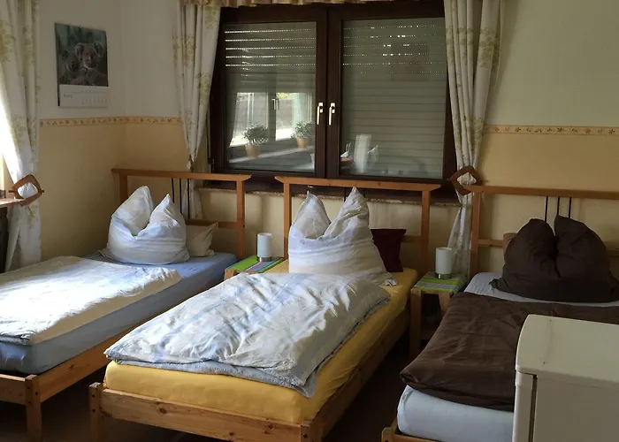 Hotel Gaestehaus Peterhoff 2*