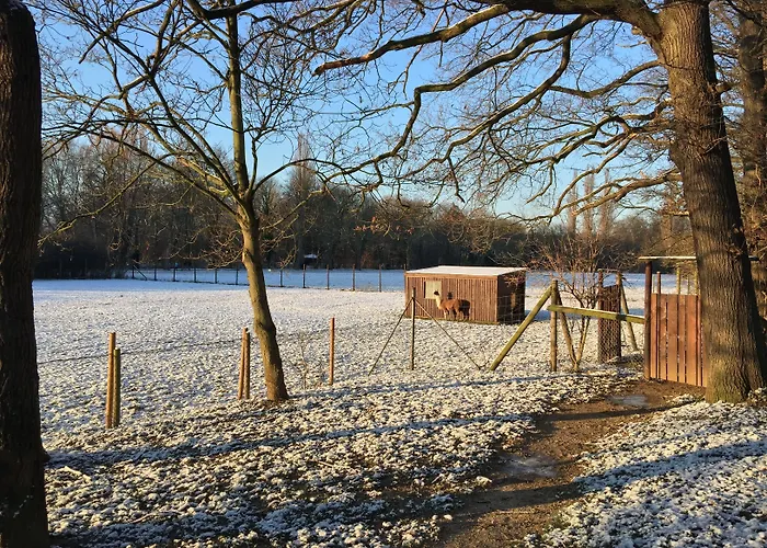 Gaestehaus Peterhoff Hotel 2*