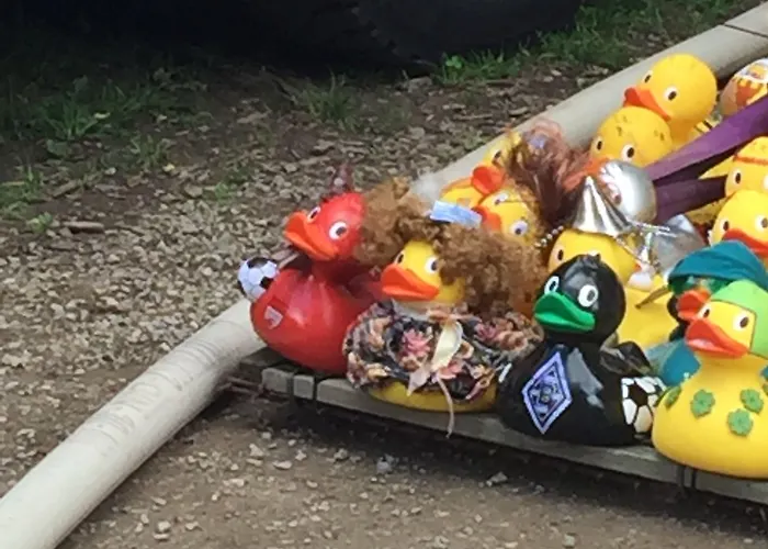 Gaestehaus Peterhoff 2*