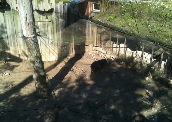 Gaestehaus Peterhoff 2*