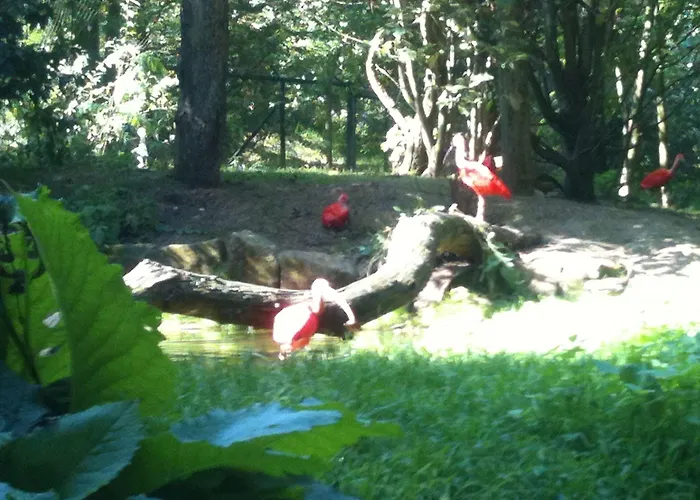 Hotel Gaestehaus Peterhoff Birresdorf