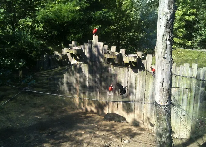 Gaestehaus Peterhoff 2* Birresdorf