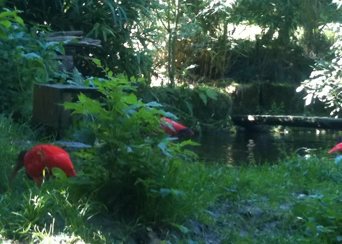 Hotel Gaestehaus Peterhoff