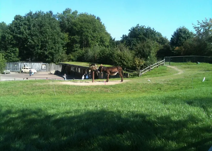 Gaestehaus Peterhoff Hotel