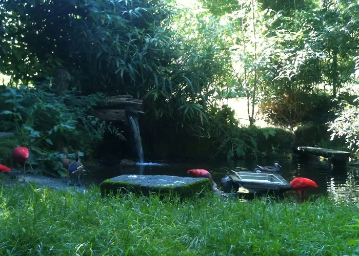 Gaestehaus Peterhoff Birresdorf